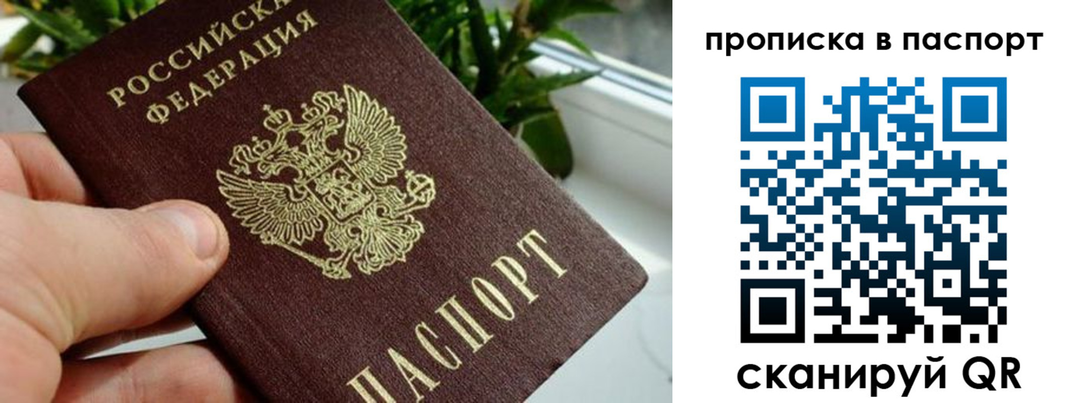 пропишу в квартире в Петровск-Забайкальском